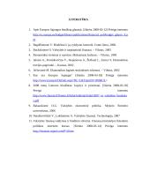 Lietuvos Respublikos biudžeto formavimo ypatumai 19 puslapis