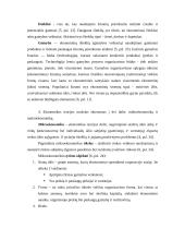 Lietuvos Respublikos biudžeto formavimo ypatumai 3 puslapis