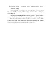 Lietuvos Respublikos biudžeto formavimo ypatumai 4 puslapis