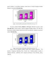 Lietuvos Respublikos biudžeto formavimo ypatumai 10 puslapis