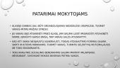Selektyvus mutizmas 16 puslapis