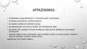 Selektyvus mutizmas 5 puslapis