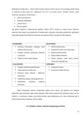 Profesinės praktikos kelionių agentūroje ataskaita 10 puslapis