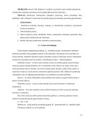 Profesinės praktikos kelionių agentūroje ataskaita 11 puslapis