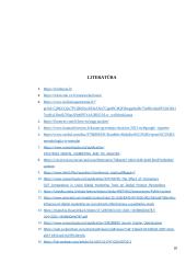 Profesinės praktikos kelionių agentūroje ataskaita 17 puslapis