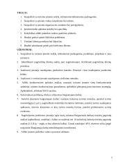 Profesinės praktikos kelionių agentūroje ataskaita 2 puslapis