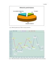 Valstybės biudžeto pajamos 13 puslapis