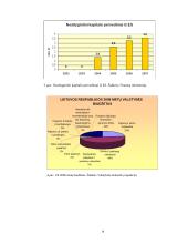Valstybės biudžeto pajamos 14 puslapis