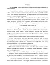 Valstybės biudžeto pajamos 3 puslapis