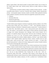 Valstybės biudžeto pajamos 4 puslapis