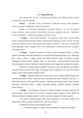 Valstybės ir verslo finansai 12 puslapis