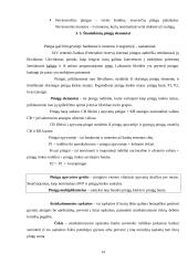 Valstybės ir verslo finansai 13 puslapis