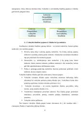 Valstybės ir verslo finansai 7 puslapis