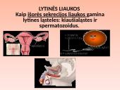 Liaukos žmogaus organizme 13 puslapis