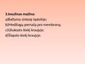 Liaukos žmogaus organizme 20 puslapis