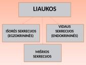 Liaukos žmogaus organizme 3 puslapis