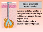 Liaukos žmogaus organizme 4 puslapis