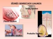 Liaukos žmogaus organizme 5 puslapis