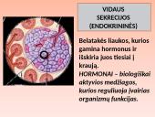 Liaukos žmogaus organizme 6 puslapis