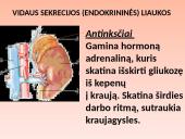 Liaukos žmogaus organizme 8 puslapis