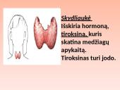 Liaukos žmogaus organizme 10 puslapis