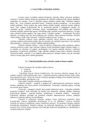 Valstybės formos sąvoka 14 puslapis