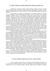 Valstybės formos sąvoka 19 puslapis