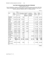 Valstybės investicijų programos Lietuvoje 13 puslapis