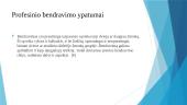 Asmenybinių bruožų raiškos ypatumai profesiniame bendravime 13 puslapis