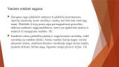 Vandens reikšmė odai ir plaukams 11 puslapis