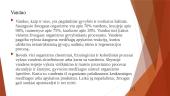 Vandens reikšmė odai ir plaukams 3 puslapis