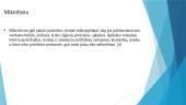Odos normalios mikrofloros žemėlapis 5 puslapis