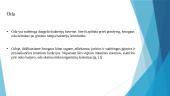 Odos normalios mikrofloros žemėlapis 7 puslapis