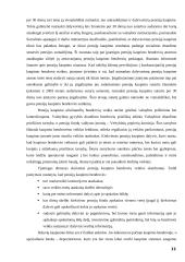 Valstybės pensijų reformos strategija ir rezultatai 11 puslapis