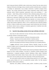 Valstybės pensijų reformos strategija ir rezultatai 16 puslapis