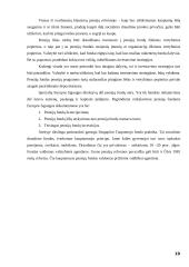 Valstybės pensijų reformos strategija ir rezultatai 19 puslapis