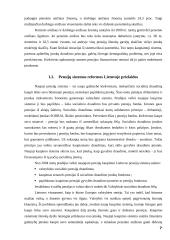 Valstybės pensijų reformos strategija ir rezultatai 7 puslapis