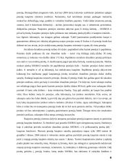 Valstybės pensijų reformos strategija ir rezultatai 8 puslapis