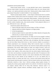 Valstybės pensijų reformos strategija ir rezultatai 9 puslapis