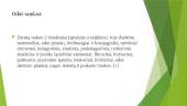 Lazerių poveikis odai 4 puslapis