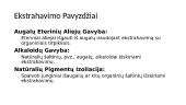 Ekstrahavimo skaidrės 3 puslapis
