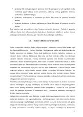 Valstybės skolos 11 puslapis