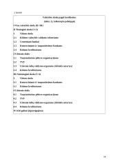 Valstybės skolos 19 puslapis