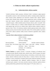 Valstybės skolos 8 puslapis