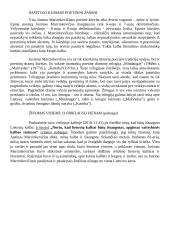 Justino Marcinkevičiaus asmenybė ir pagrindiniai kūrybos bruožai 2 puslapis