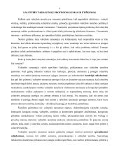 Valstybės tarnautojo etika 4 puslapis