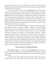 Valstybės tarnautojo etika 6 puslapis