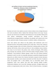 Kontrabandos tyrimo pirminiai (neatidėliotini) veiksmai 15 puslapis