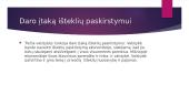 Valstybės funkcijos 4 puslapis