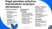 Skaidrės - mutacijos 6 puslapis